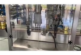 駱駝奶粉包裝生產(chǎn)線