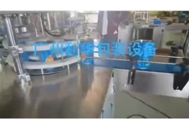 伺服封蓋+翻盤機(jī)+封底