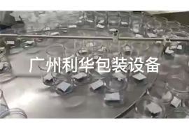 開心果，碧根果，巴達(dá)木，罐裝包裝生產(chǎn)線