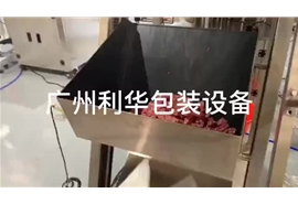 牛肉，雞肉，羊肉罐頭等肉類罐裝包裝生產(chǎn)線