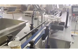 半自動(dòng)抽真空充氮封罐機(jī)